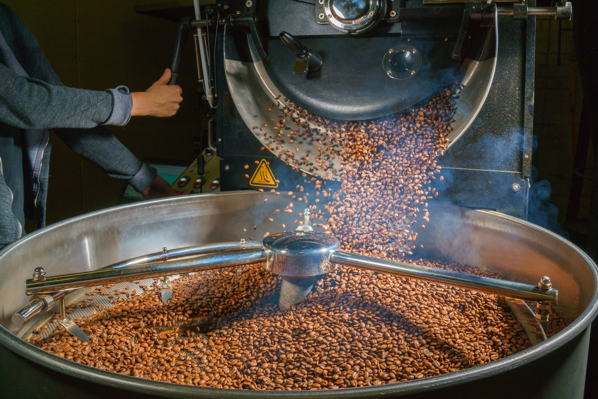 Freshly roasted coffee beans pouring into a cooling tray